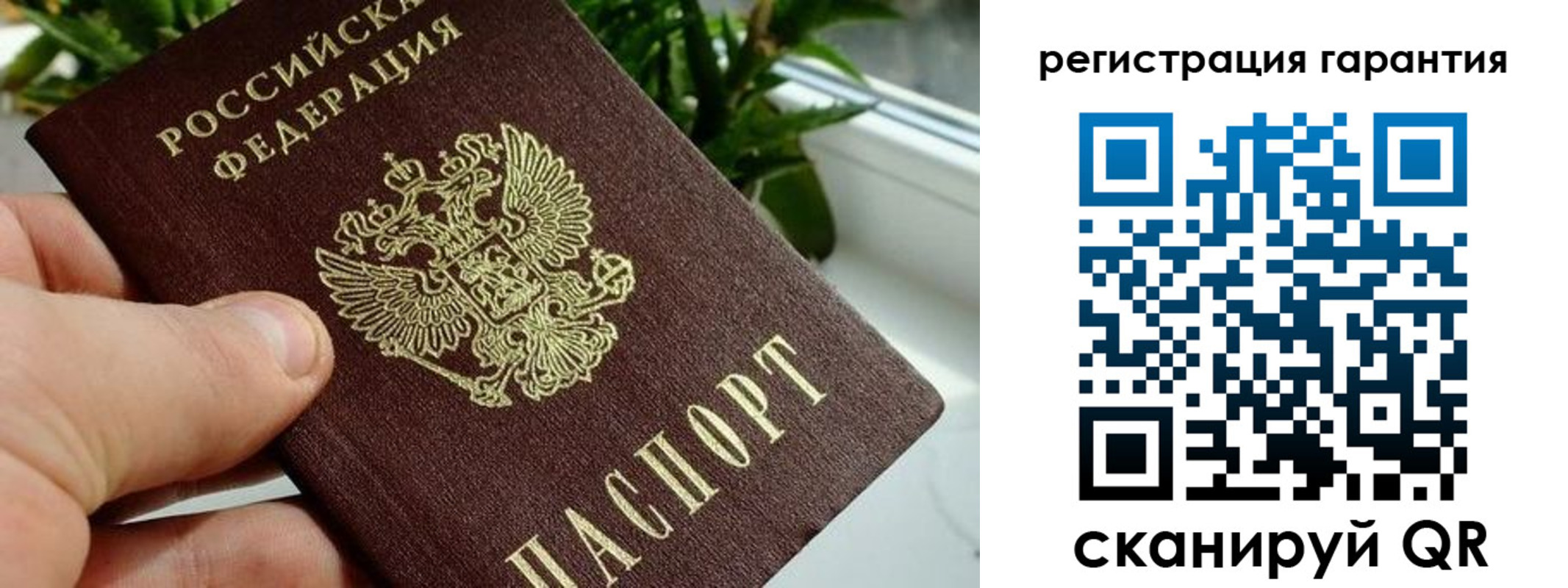 временная регистрация надежно в Гусь-Хрустальном